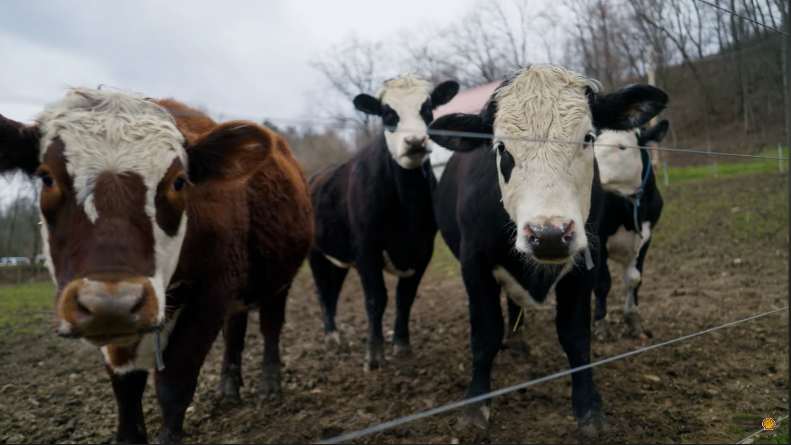 Everybody Forward | Workforce development